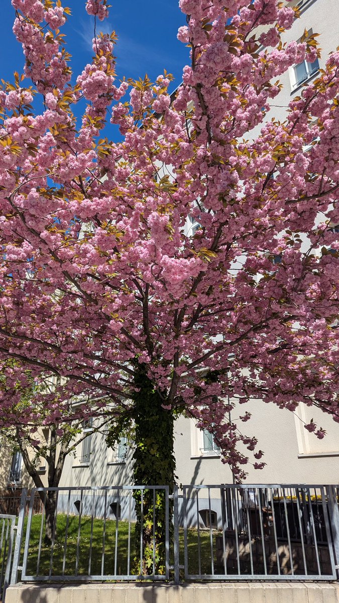 Auf Punkt und Komma tweet media