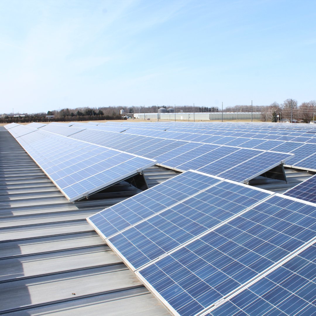 toplinefarms's tweet photo. Every day, we work to grow more responsibly &amp; reduce our environmental impact. Sustainability isn’t a moment for us, it’s part of how we operate year-round. Today, we’re proud to highlight our solar panel installation at our warehouse as one of the steps we’re taking forward.🌎 https://t.co/6B0QNRH3Mu