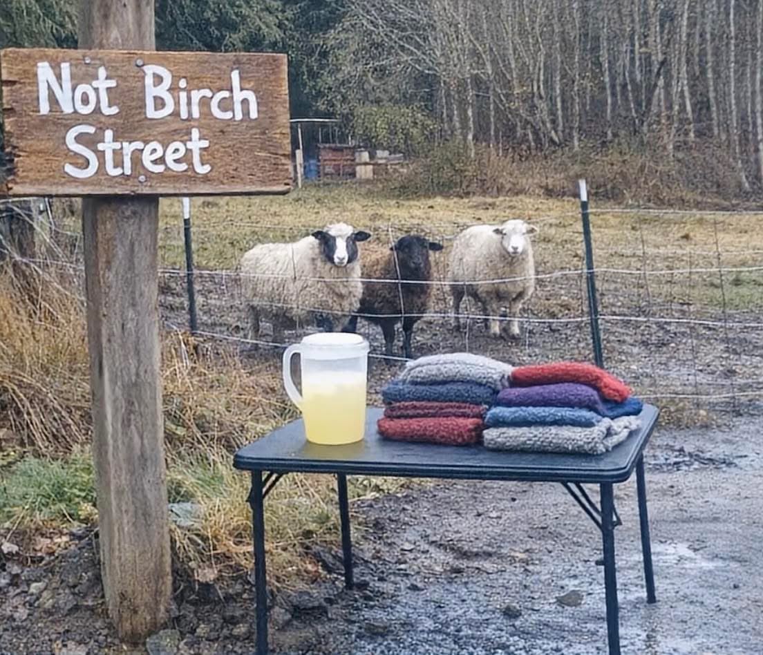 Mr PitBull tweet media