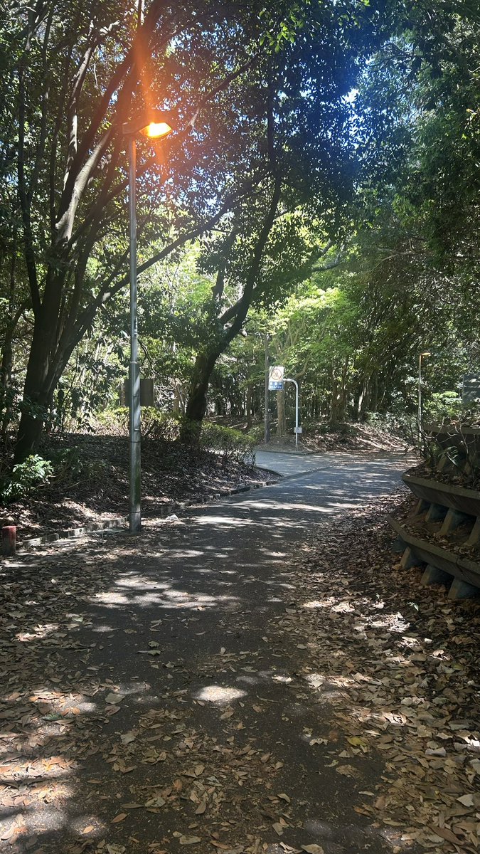 cuoc_24's tweet photo. 5/9(土)香澄公園でオリエンテーリング体験会を行います！！
一緒に公園を駆け抜けましょう！！
香澄公園は自然がとても綺麗な公園なので、自然が好きな方もぜひ🌿🌟

↓こんな感じです✨ https://t.co/8Cu7pLwP99