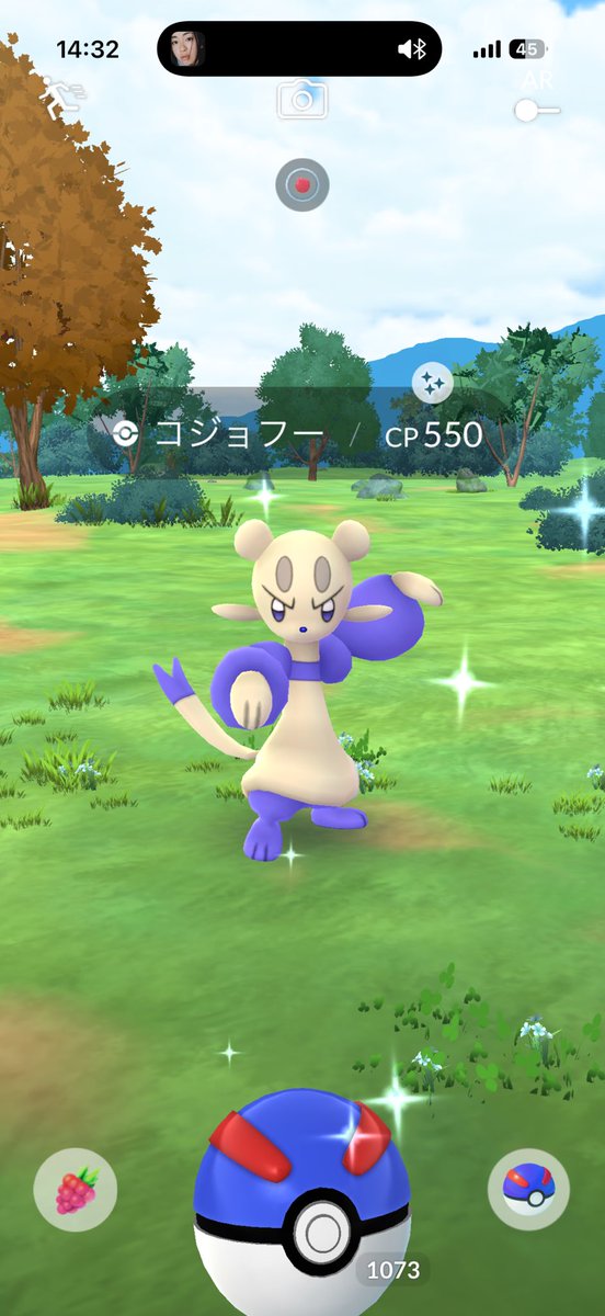 ✖️ちるみ✖️@ポケモンGO tweet media