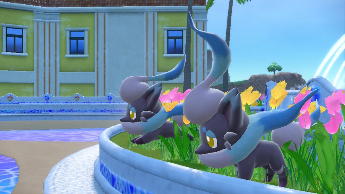 つーこ tweet media