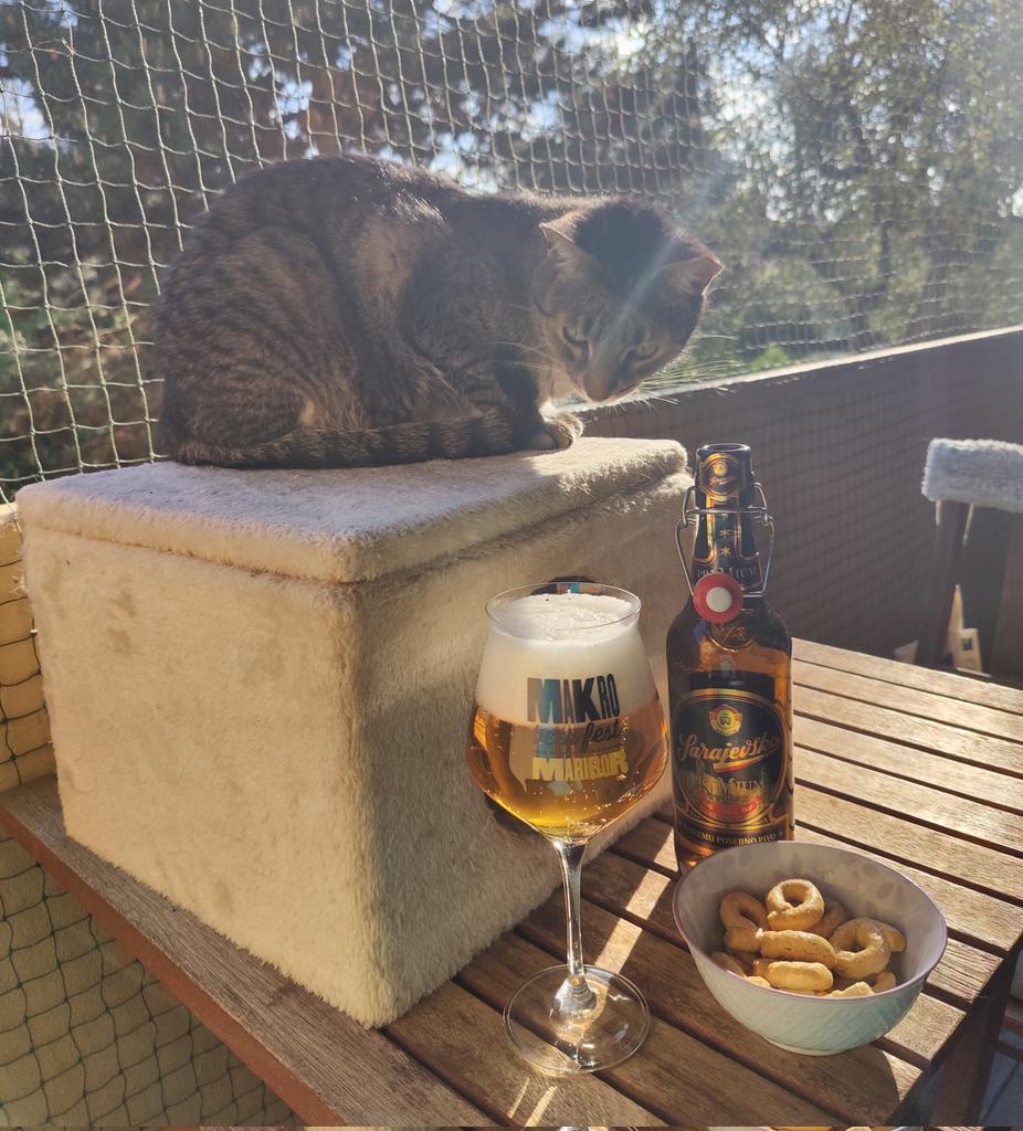 FrancJohi's tweet photo. #Findus, vodja kontrole zračnega prometa, se strinja s #stariata, da bi se 🇸🇮 vlado dalo stisniti v max. 10 resorjev. #exTetaRigoroza https://t.co/tWOgDGLmPO