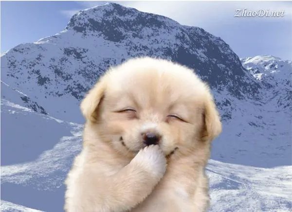 ottorange tweet media