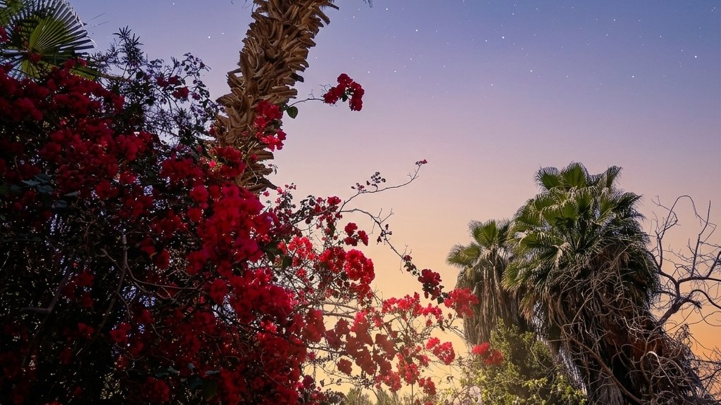 AbdullaH'Yahia☀️ tweet media