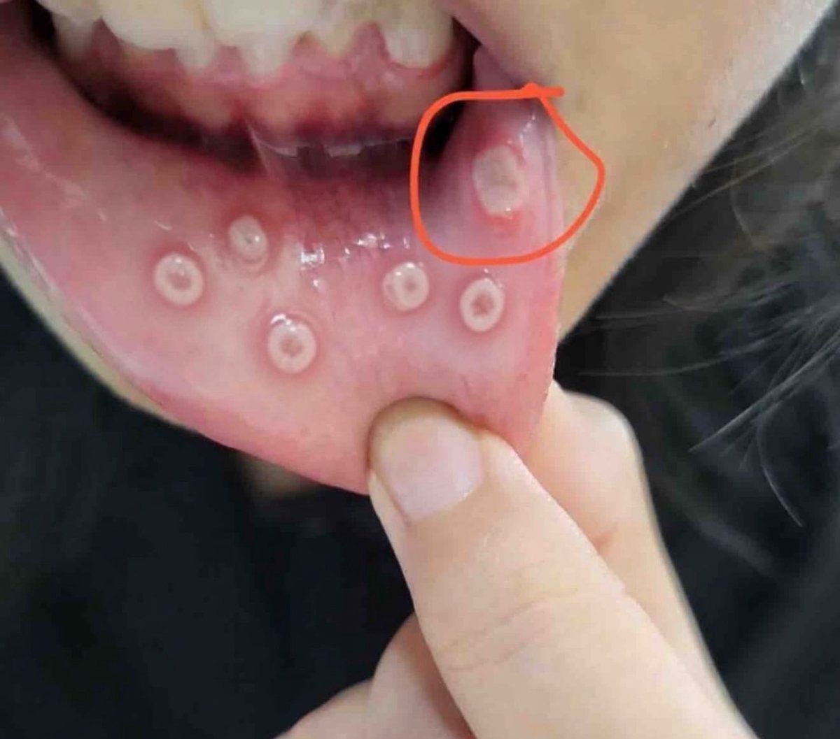 招财猫 tweet media