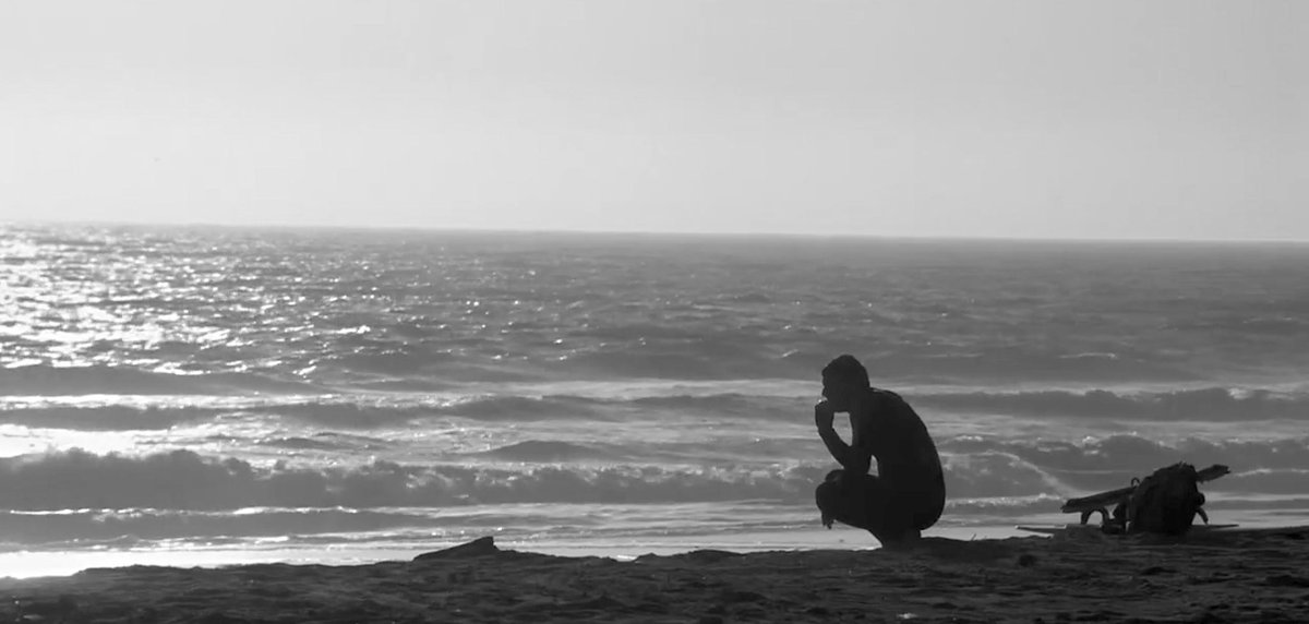 art tavana tweet media