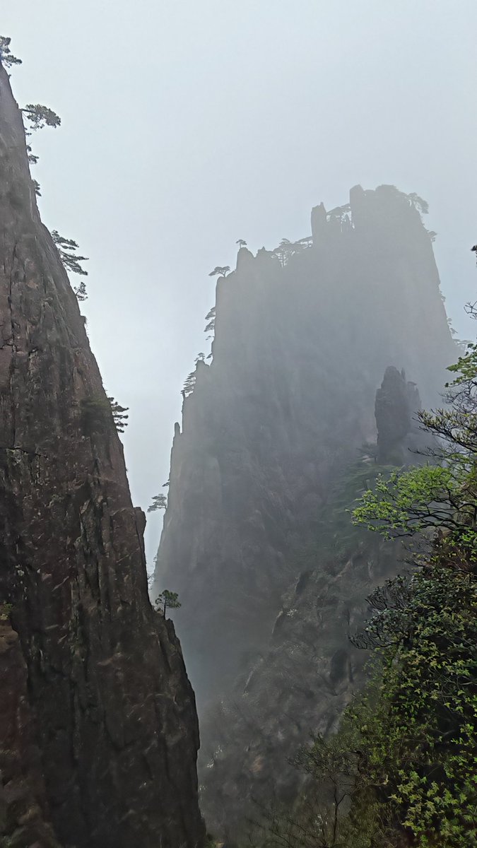 Alexis Karklins-Marchay tweet media