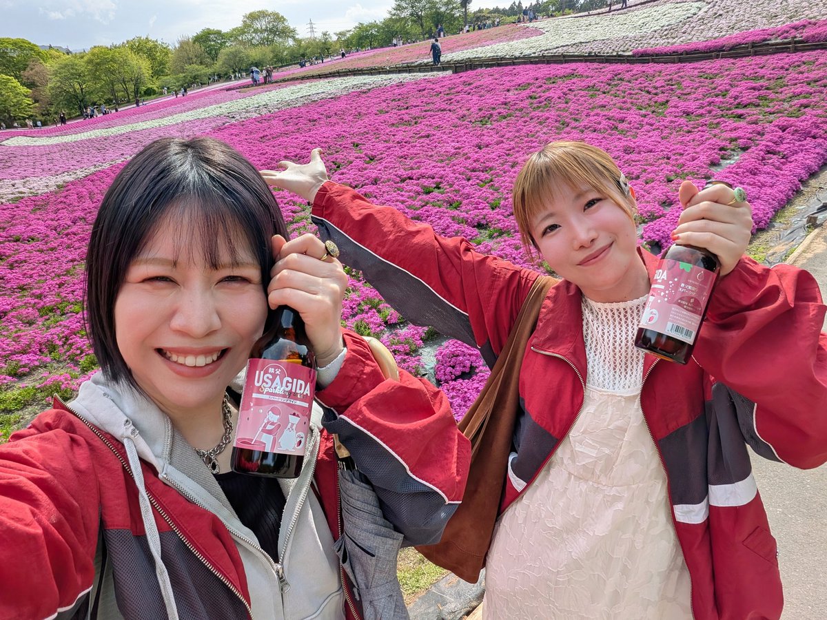 cleveryashina's tweet photo. #毎月あさひ　秩父編
羊山公園の芝桜とホルモン食らう朝日と宿で風呂上がりの赤星
明日は天気が崩れるらしいので計画変更になりそう。。 https://t.co/rk1S7oSJpn