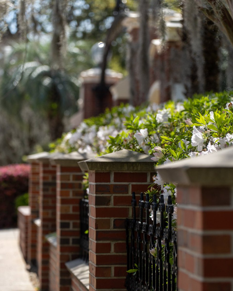 FSU College of Communication & Information tweet media