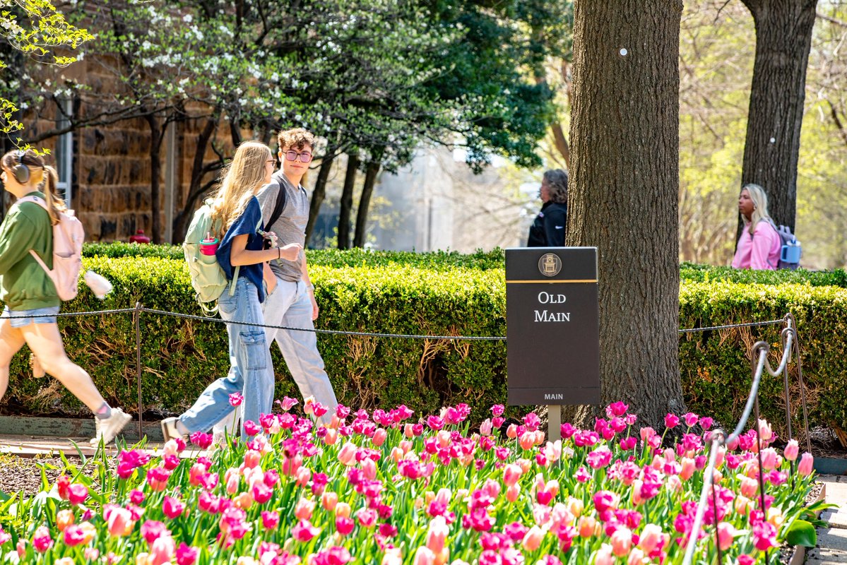 University of Arkansas tweet media