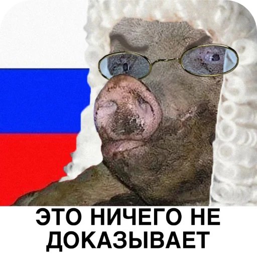 Apalonir tweet media