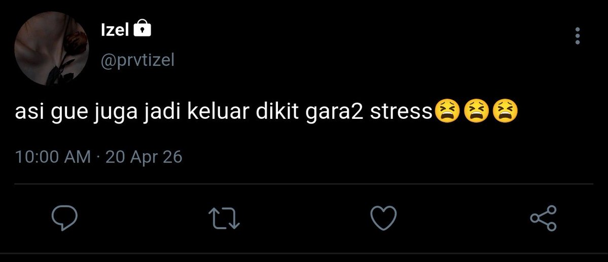 Xena tweet media
