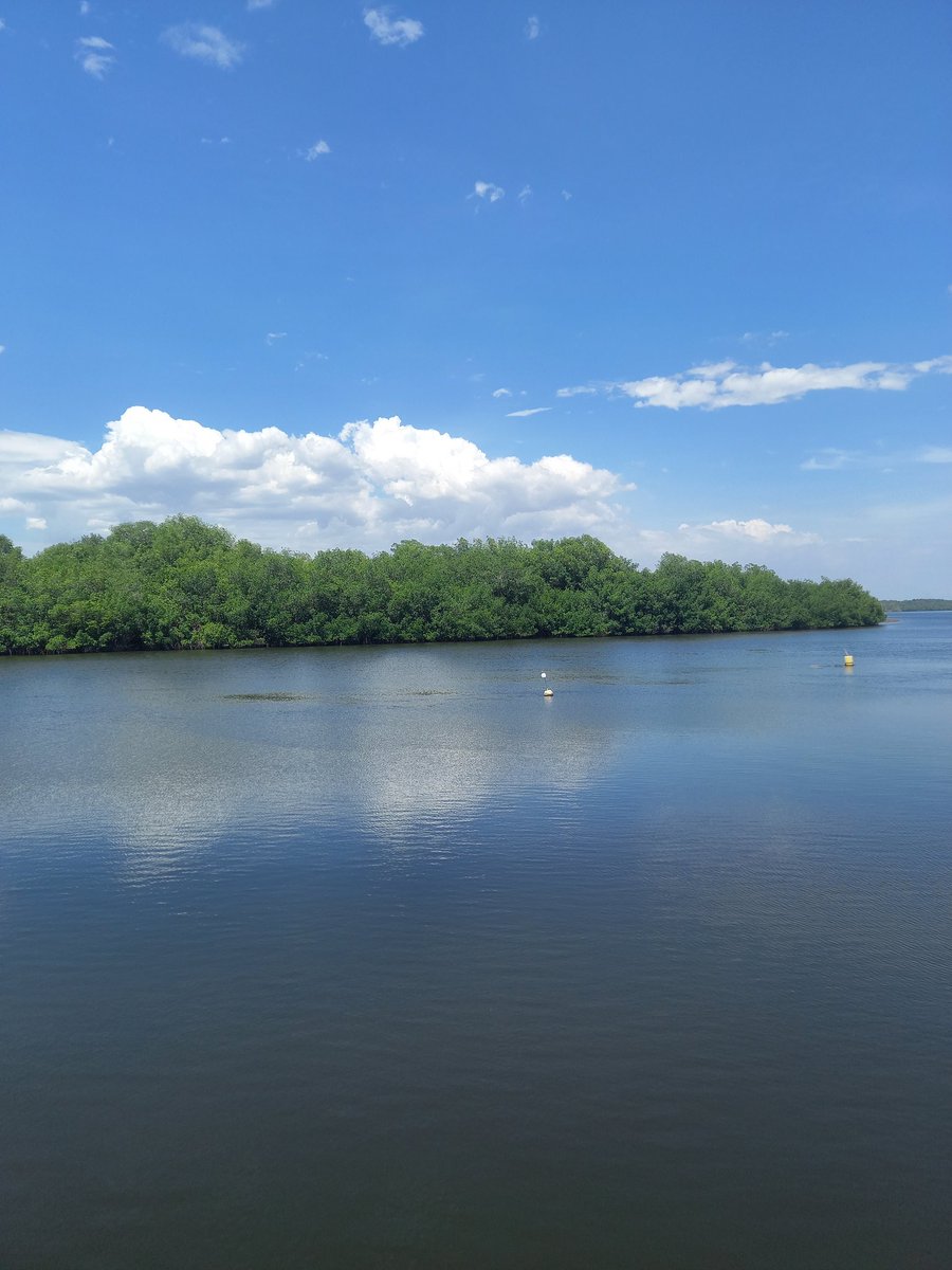 Alex Hasbun tweet media