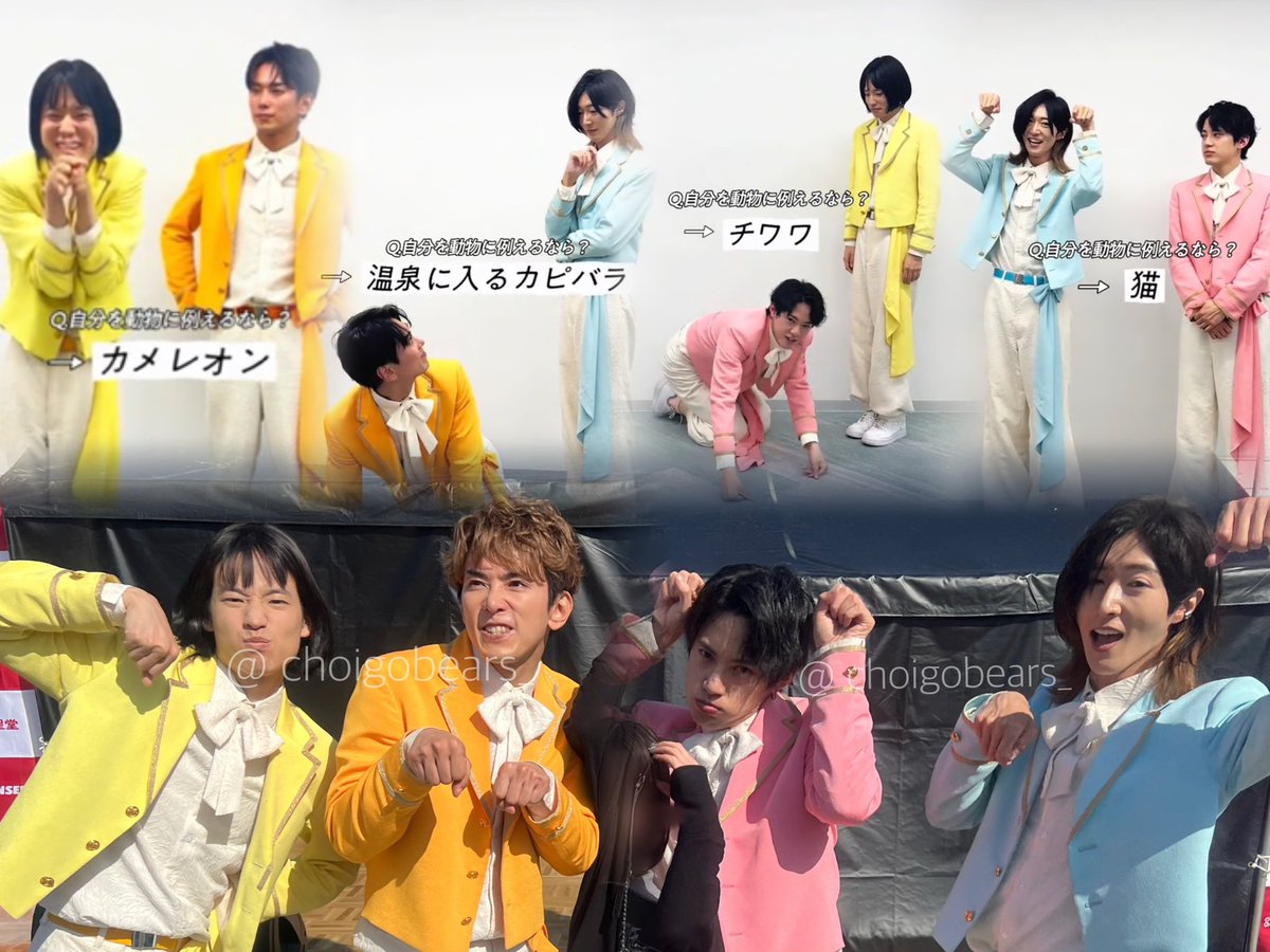 よ🐻⭐️ tweet media