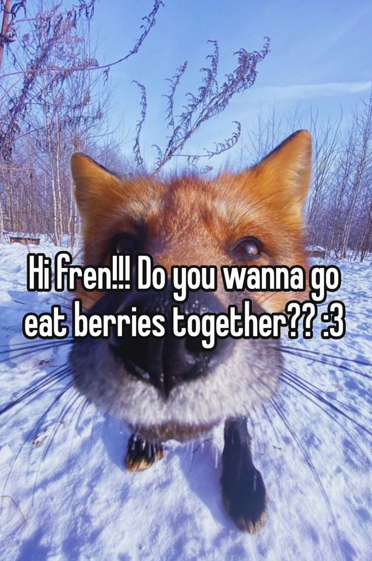 💜Rain Cloudheart💜 tweet media