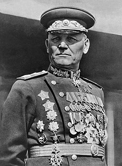 WW2 The Eastern Front tweet media