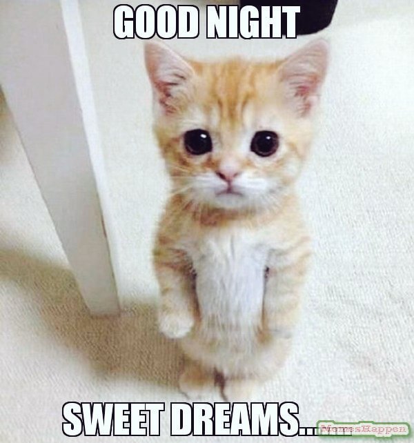 Tayyiba jarral tweet media