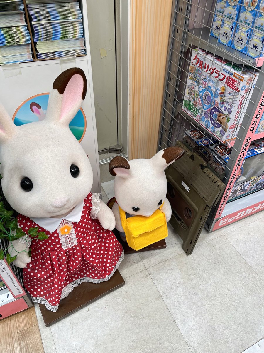 もちむぎ tweet media