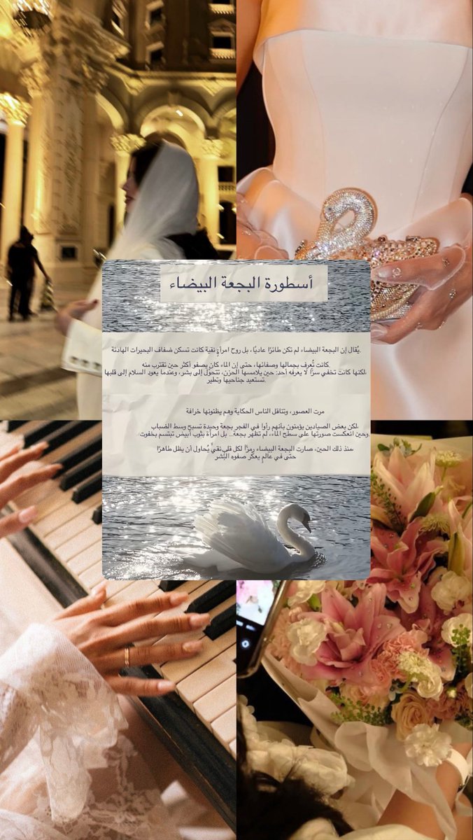 شّ tweet media