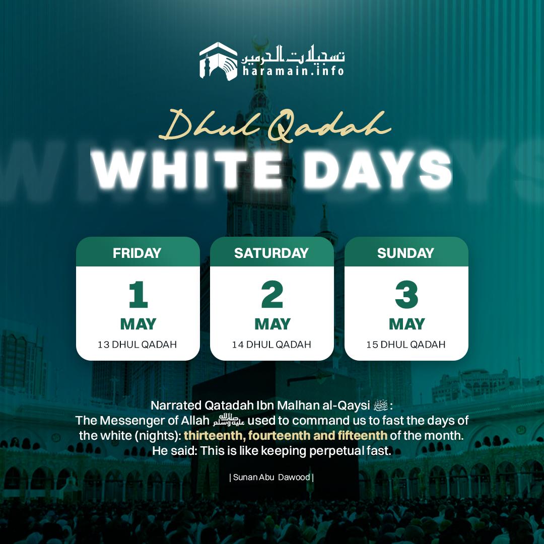 𝗛𝗮𝗿𝗮𝗺𝗮𝗶𝗻 tweet media