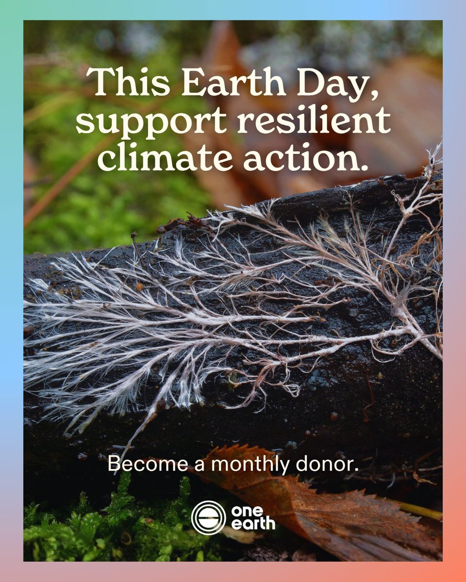 One Earth tweet media