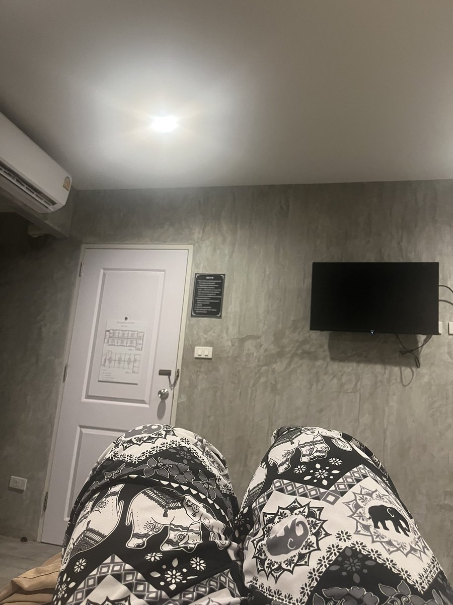 🔥ซามอยด์ที่ไม่ใช่ฮมอย🔥 tweet media