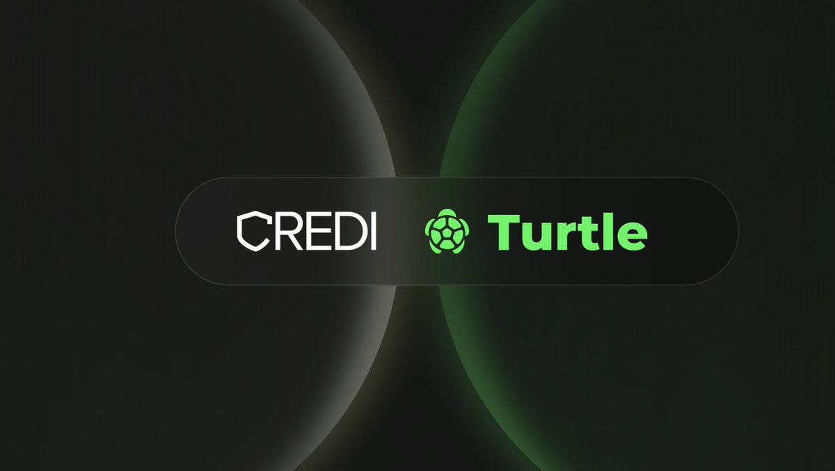 Turtle tweet media