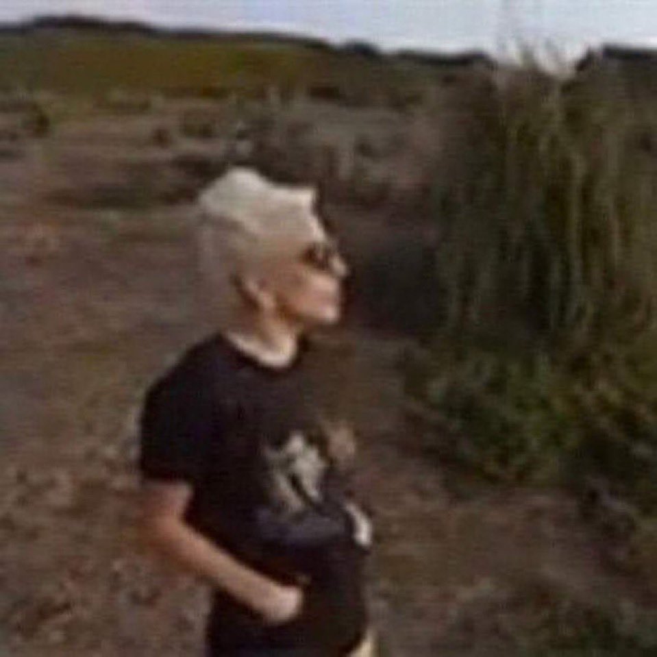 dan ✨️ tweet media