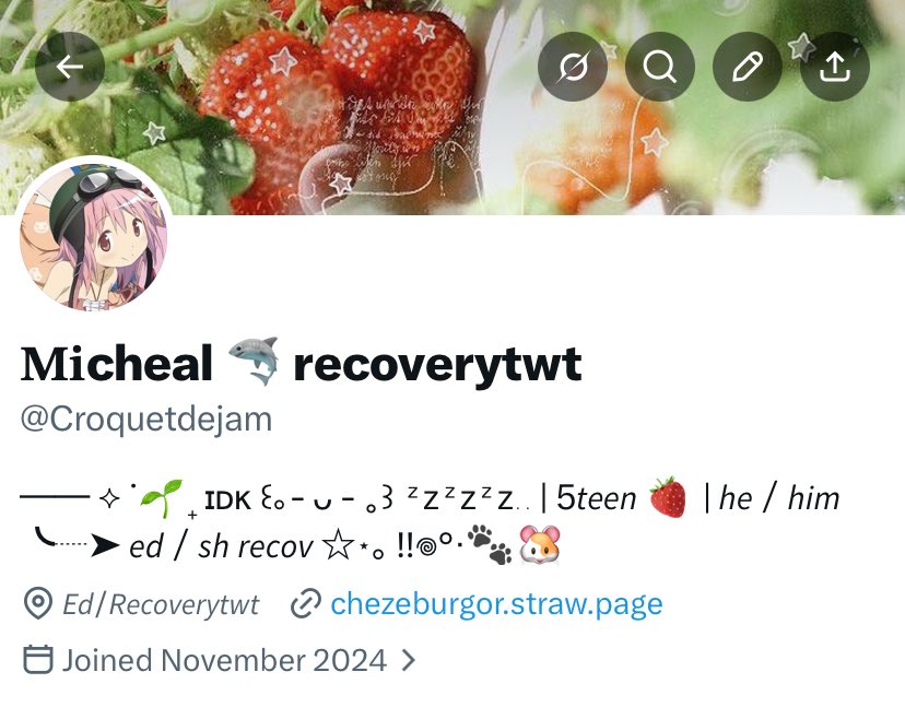 ꒰ঌ ⋆𝐌𝐢cheal ࣪ ˖ ໒꒱ tweet media