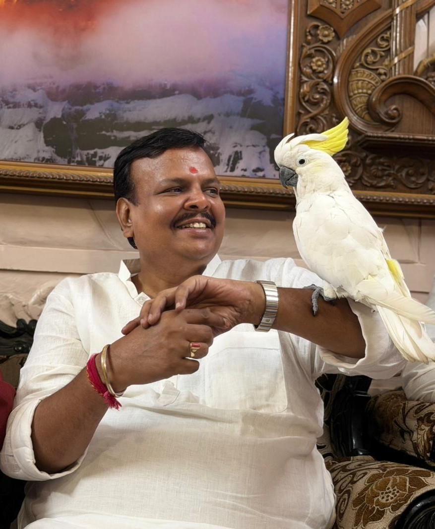 Sanjay Upadhyay tweet media