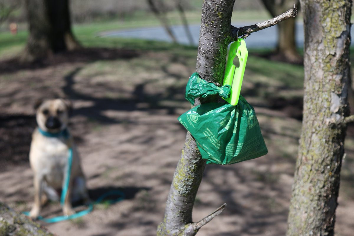 leerburg's tweet image. 🌍 Happy Earth Day! Make every walk count with Earth Rated Poop Bags — 65% recycled plastic, 100% leak-proof, lavender-scented. 

Pair with our clip-on bag holder for hands-free convenience. Small choices, big impact. 🐾💚

Shop: leerburg.com

#EarthDay #DogWalking