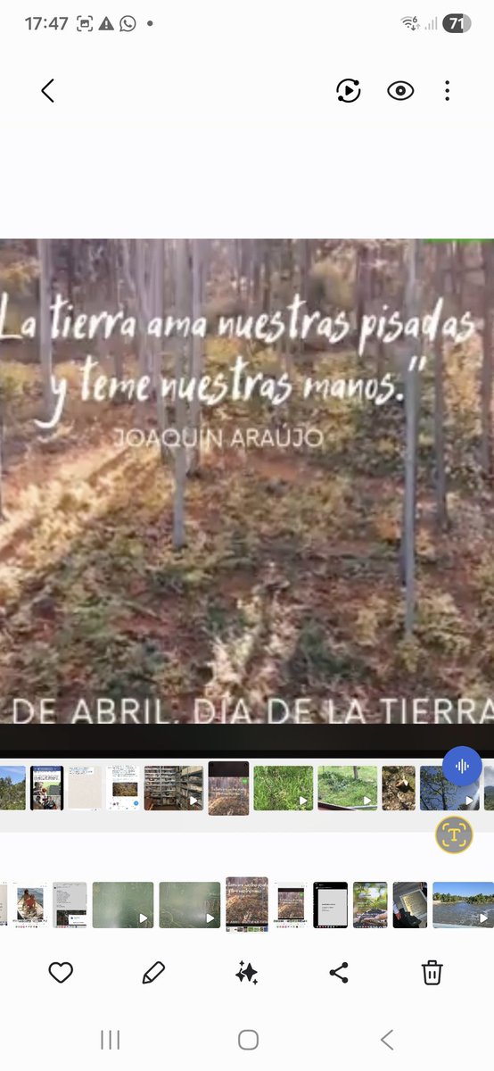 joaquinaraujo's tweet photo. https://t.co/vIcDmXHoCD