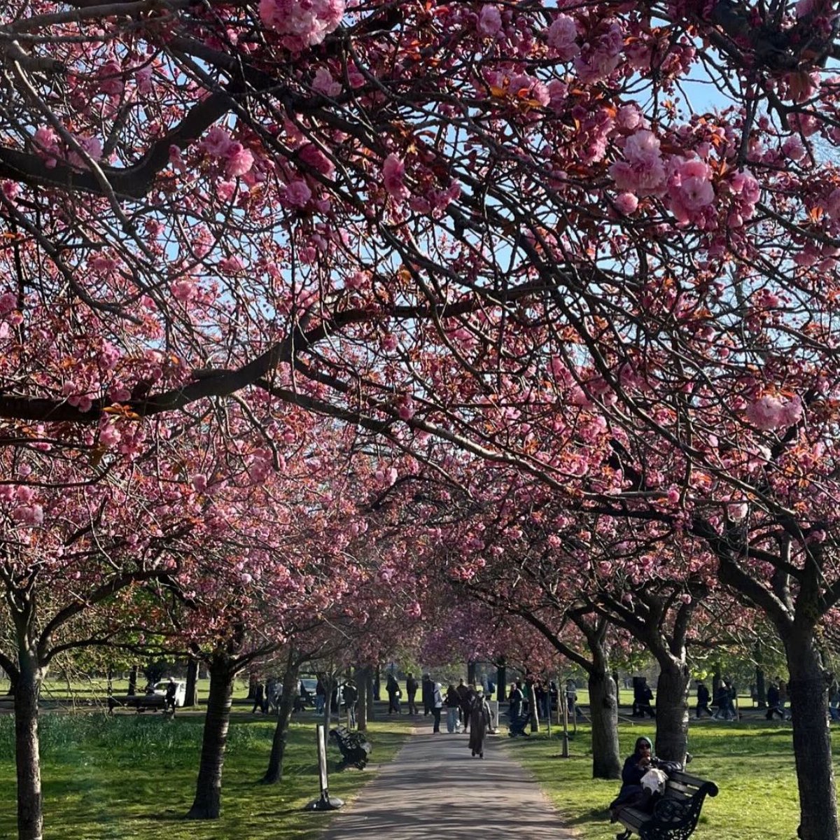 ههههههههه tweet media