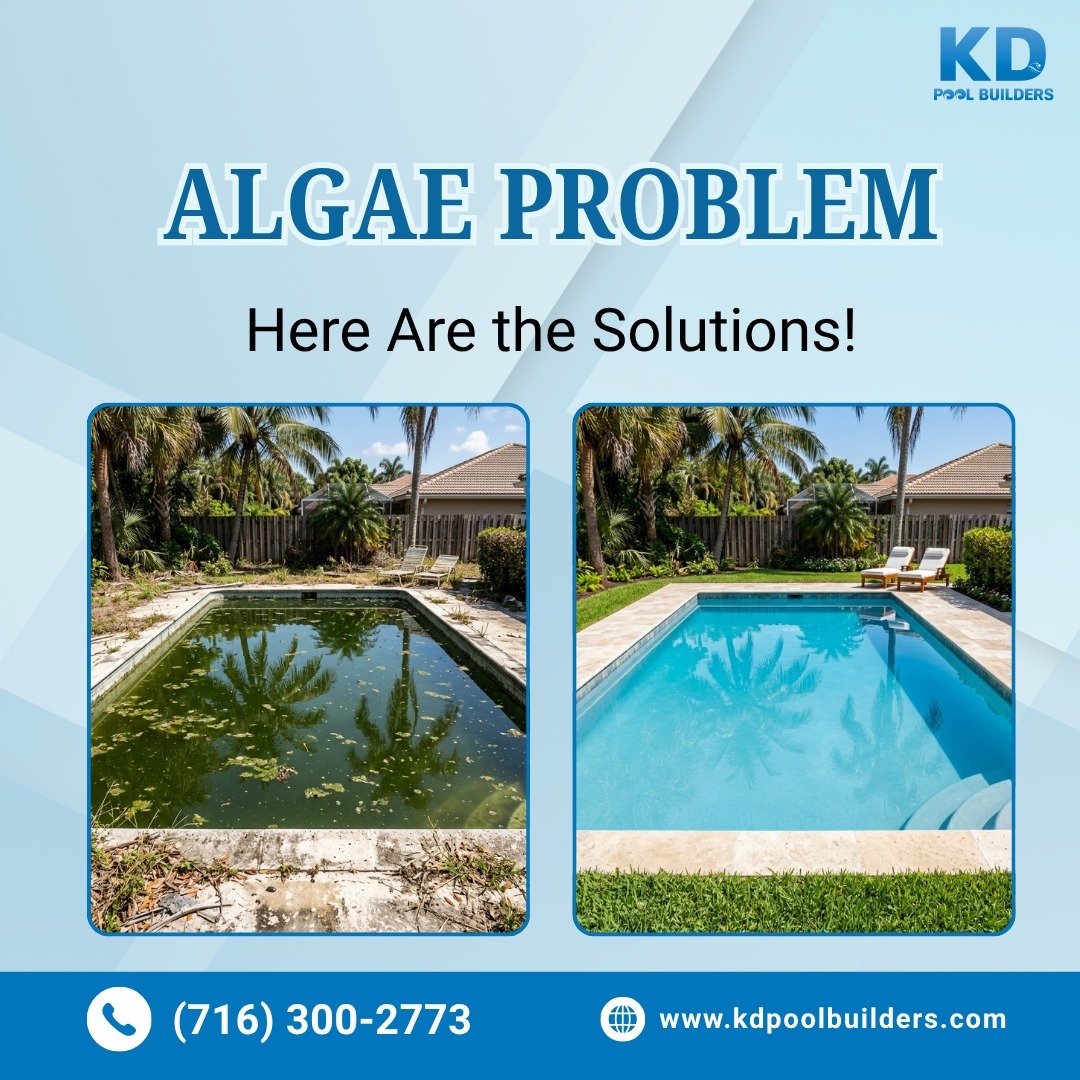 kdpool_builders's tweet photo. From swamp to crystal clear π§β¨
KD Pool Builders restores your pool with deep cleaning, algae removal, and perfect water balance, so you can enjoy every splash again.
π (716) 300-2773
π https://t.co/gBnT7UvwQK
#KDPoolBuilders #PoolCleaning #CrystalClearWater #PoolCare https://t.co/ZxST9aqvzD