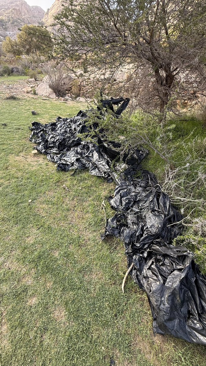 عاشق الطبيعة - ابن مسفر tweet media