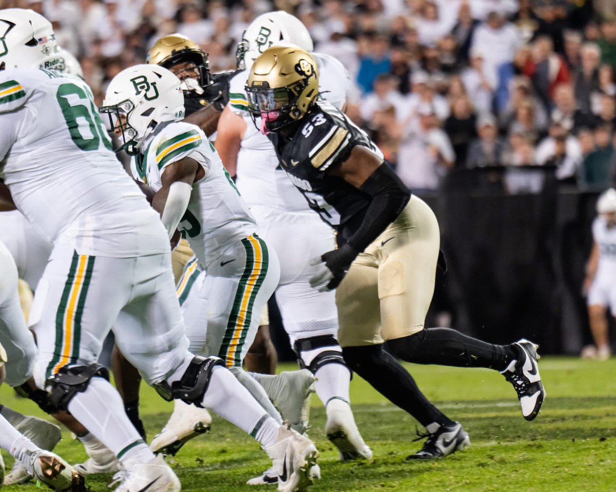 Arden Walker 🎉 tweet media