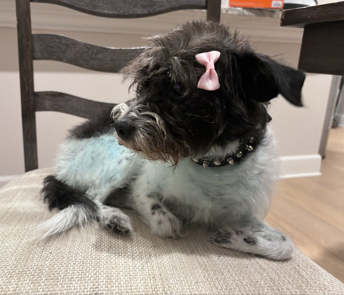 jo-seppe | ultimate wife guy & loverjo tweet media