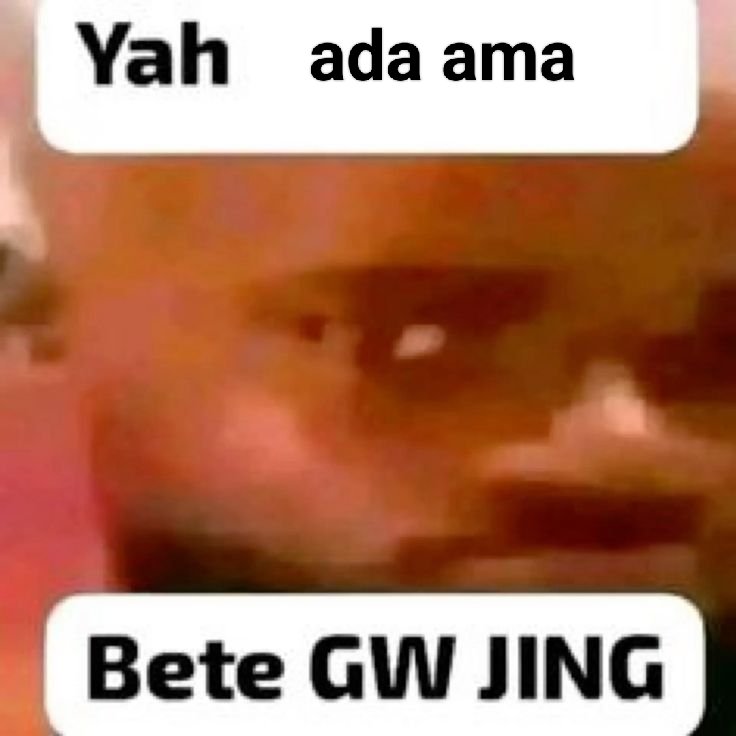 doꪗ🪇 tweet media