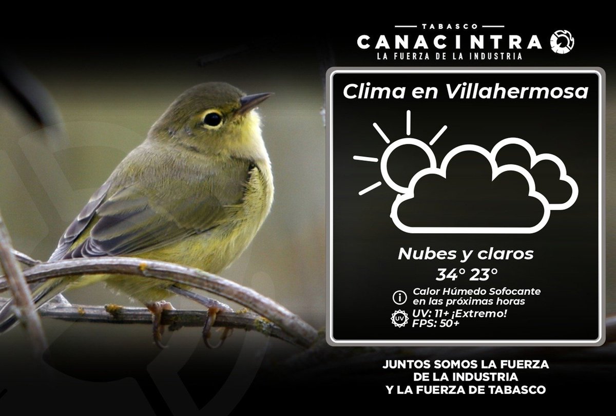 Canacintra Tabasco tweet media