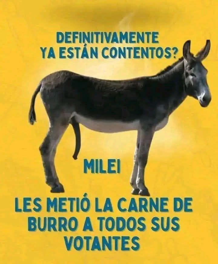 Nicolas Colón tweet media