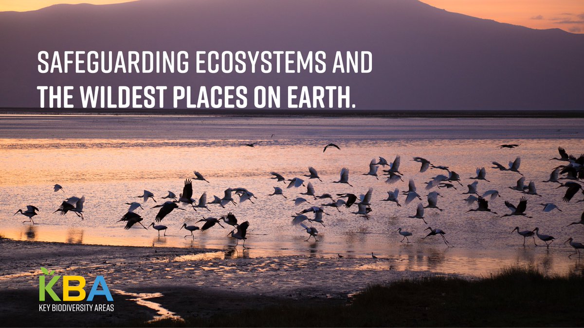 Key Biodiversity Areas tweet media
