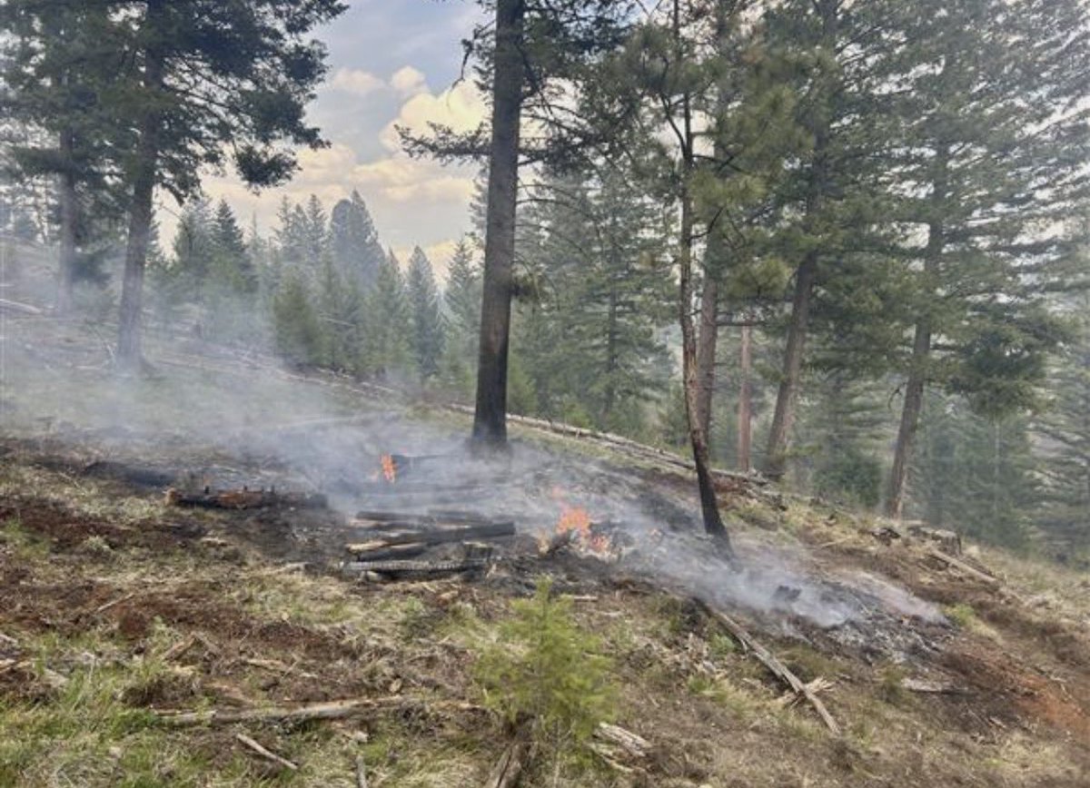 Salmon-Challis NF tweet media