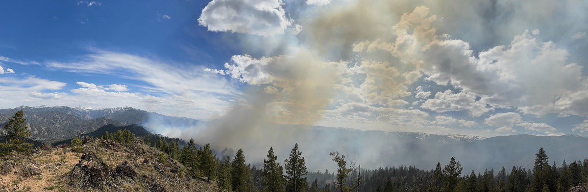 Salmon-Challis NF tweet media