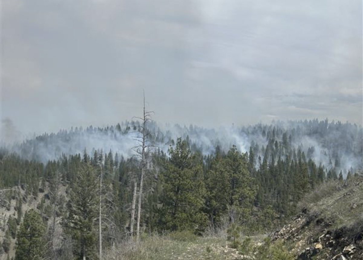 Salmon-Challis NF tweet media