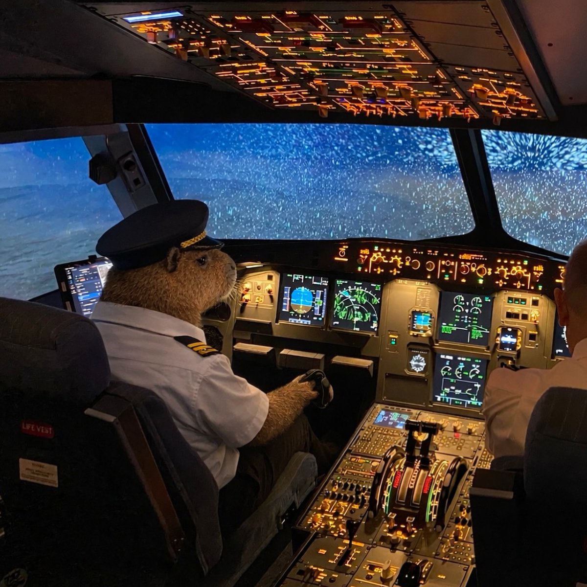 PanicNOW tweet media