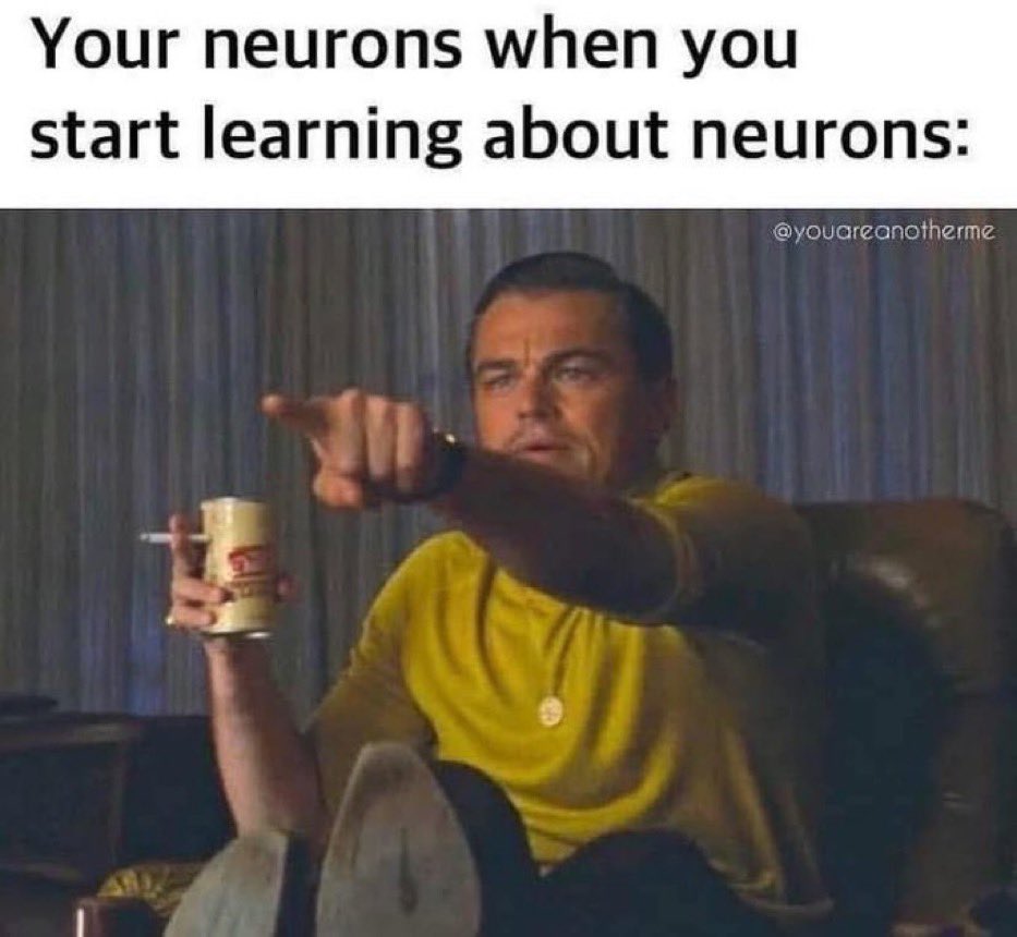 Alien Perspective tweet media