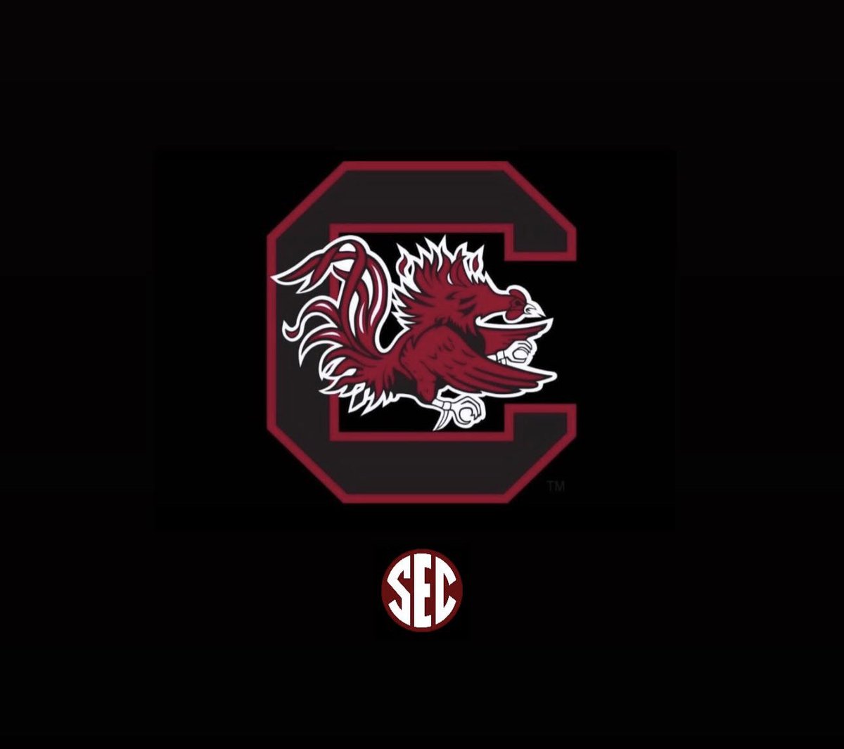 Zingelmann2028's tweet image. Blessed to receive an Offer from University of South Carolina. 🔴⚫️@GamecockFB @kendalbriles @CoachSBeamer @coppellfootball @HeathNaragon @thetcwj @keenan_kitchens @A_Wiley30 @DruSmith8 @CoachRoulston @Coach_AllenOh @CoachZGonzalez @samspiegs @MikeRoach247