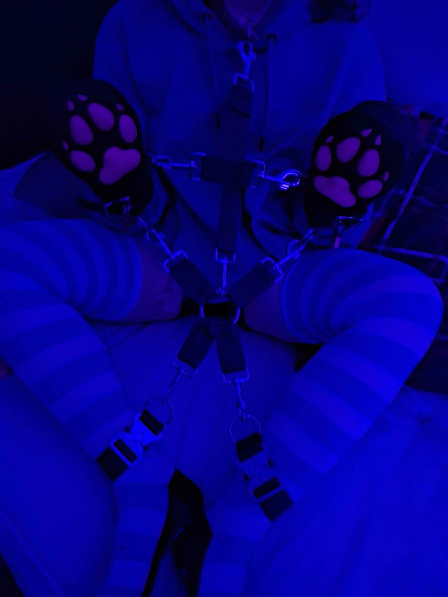 Pink Shark woaaa tweet media