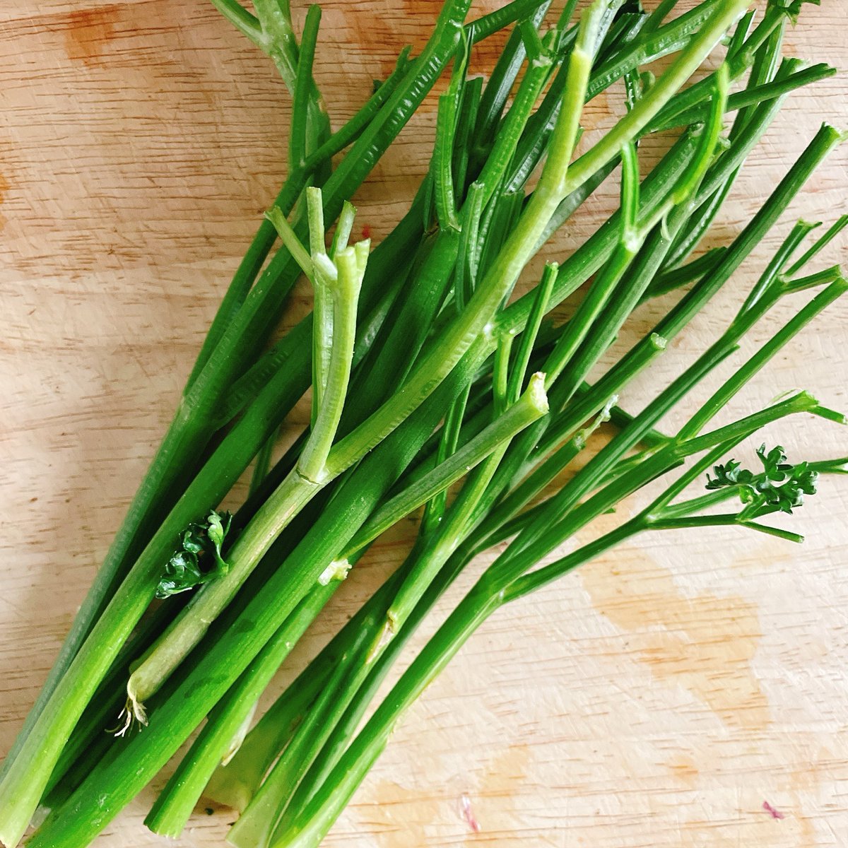 直樹 5/22Masked DEATHGAZE tweet media